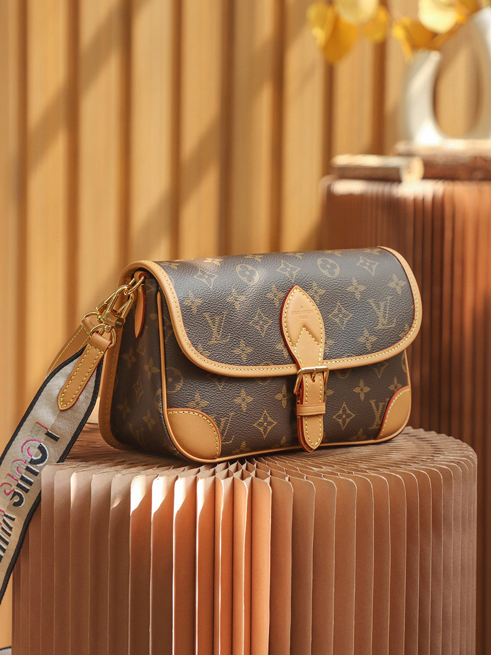 Louis Vuitton Bag