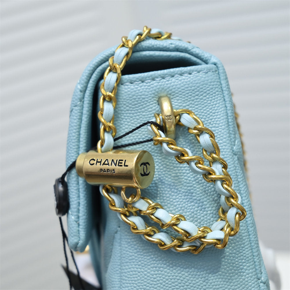 CHANEL BAGS