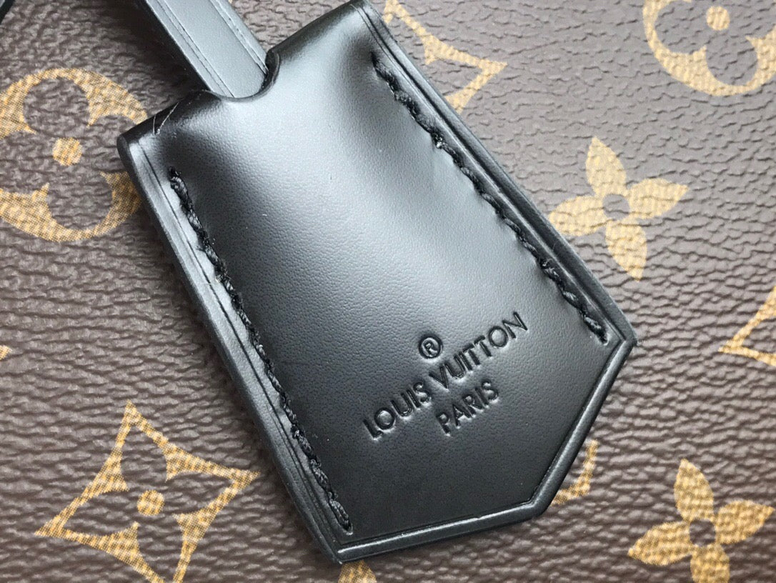 Bag Louis vuitton ALMA