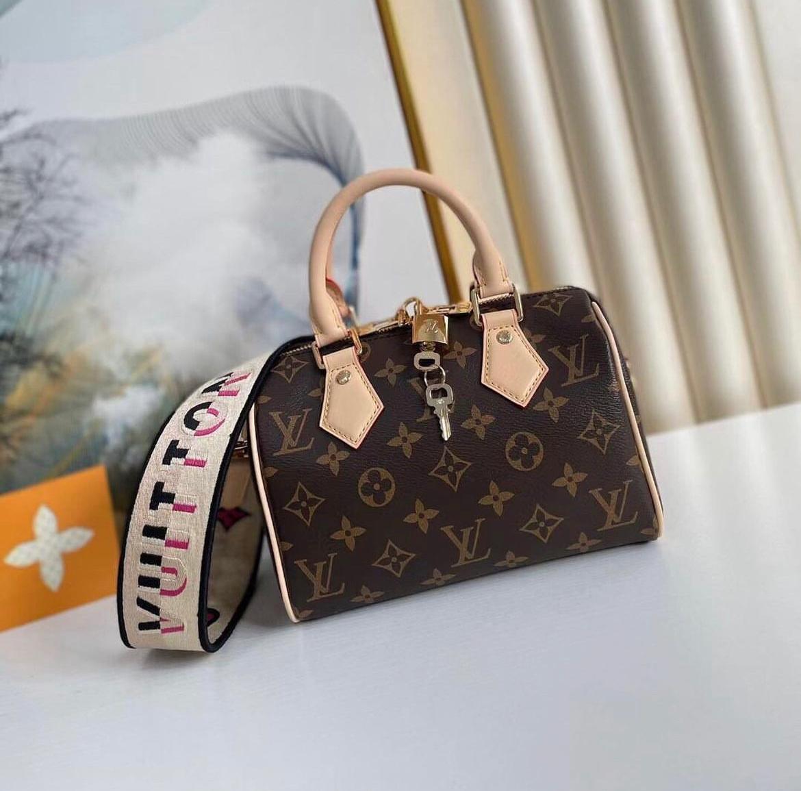Bag Louis vuitton SPEEDY 30