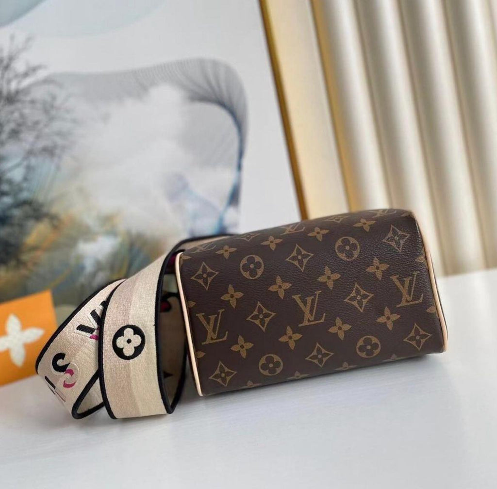 Bag Louis vuitton SPEEDY 30