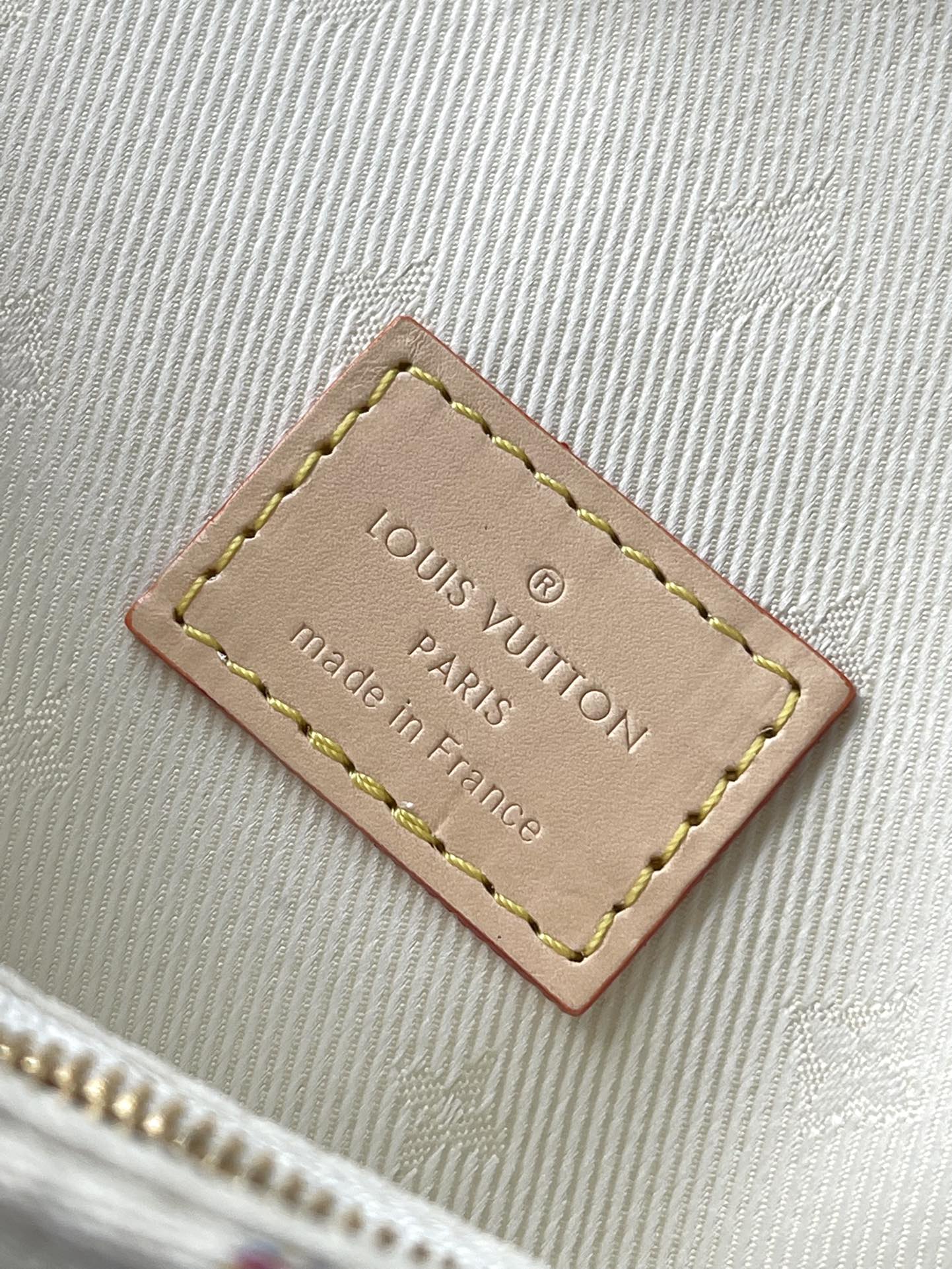 Vuitton Bag