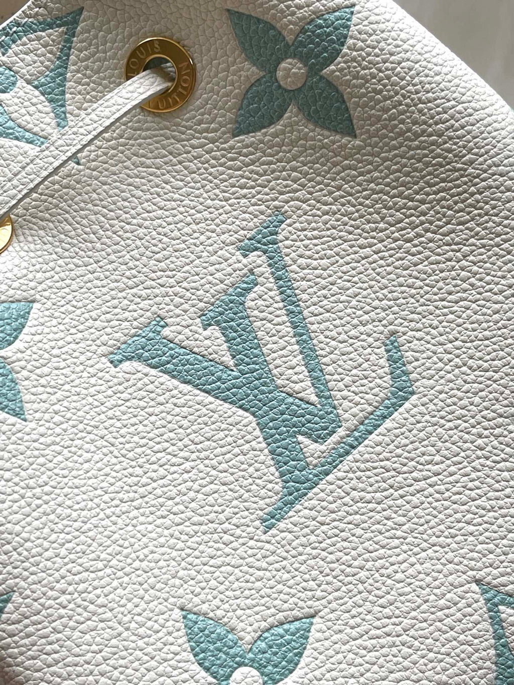 Vuitton Bag