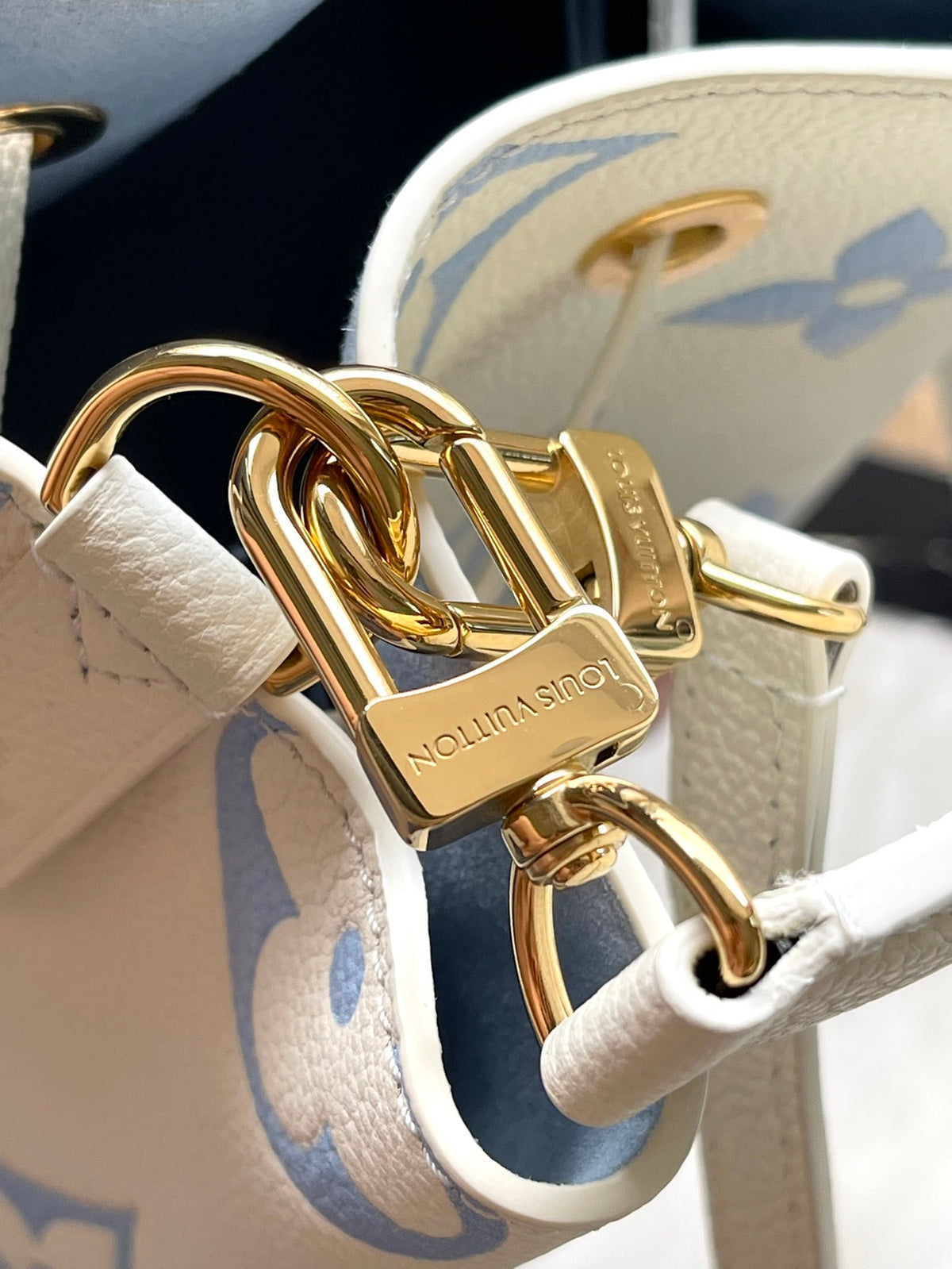 Vuitton Bag