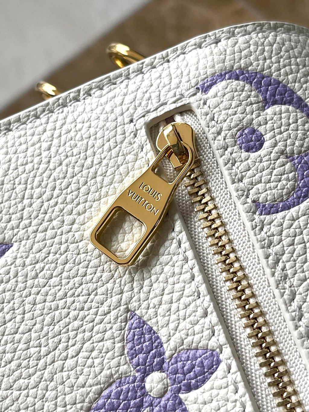 Louis Vuitton Bag