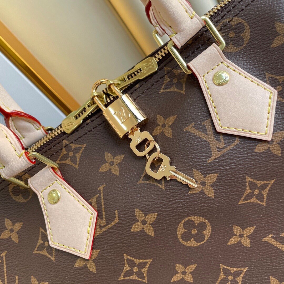 Bag Louis vuitton SPEEDY 30